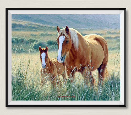 Cavalli nel deserto grafici - deserto, 3